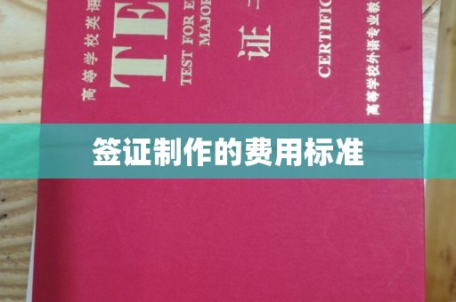 蛟河签证制作的费用标准