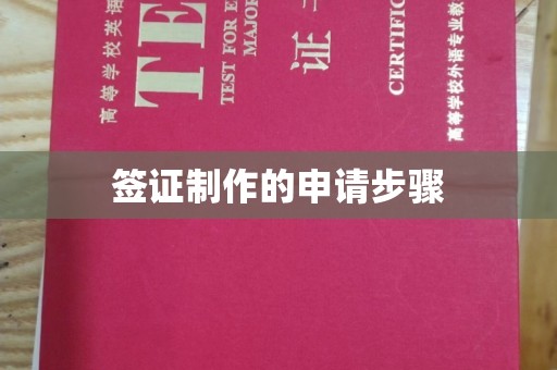 蛟河签证制作的申请步骤